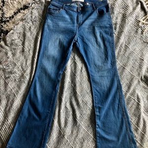 “Anthology” Bootcut Flare Medium Wash Jeans